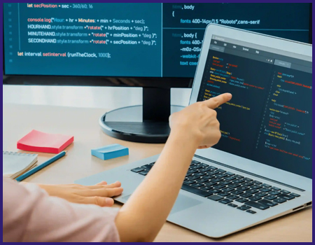 Custom Website Development 